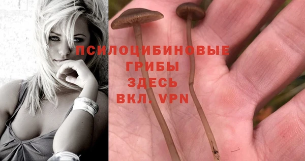 дурь Баксан