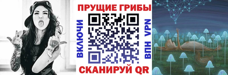 где купить наркоту  Давлеканово  Галлюциногенные грибы Magic Shrooms 
